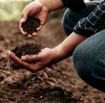 Organic soil preparation
